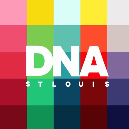 The St. Louis Downtown Neighborhood Association (DNA) is a non-profit that builds and organizes the community of #DowntownSTL. Likes/retweets =/= endorsements.