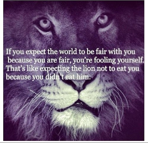 Yo9er's profile picture. 