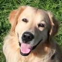 stephen wimberly - @StephenWimberly - Twitter