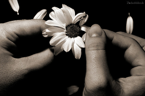 Sabine29854676's profile picture. just me