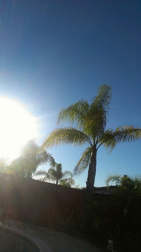 I Love CA