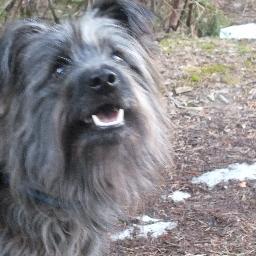 tuijahh's profile picture. 