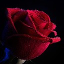 عاشقه الصمت (@0550824678) Twitter