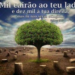 Vão pregar que o mundo é uma merda, mas as únicas pessoas que encontram merdas nele são as que procuram