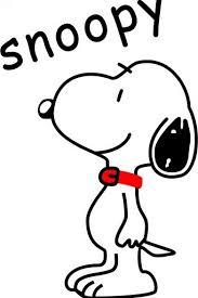Follow me and i'll follow back! :)