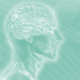 Follow us for the most effective and cutting-edge marketing intelligence based on the latest brain science and neuroimaging research