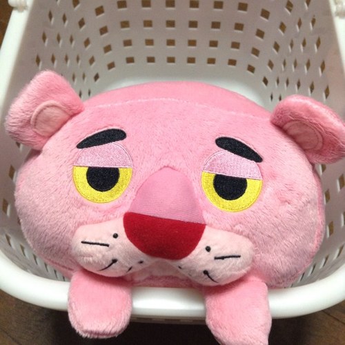 maroccoli's profile picture. 夏から秋にかけてちょくちょくUSJに出没。こっそりフォローが得意技。ごめんなさい(´-ω-｀)