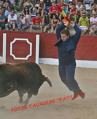mis aficiones son los toros y el entrenar diaria mente y me gusta muxo el flamenco y estar con mi pareja. a la k kiero muxo