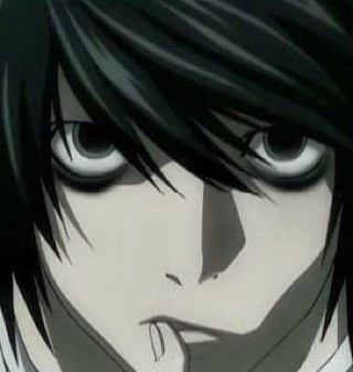 Call me Ryuzaki. Don't expect me to tell you anything about myself, nor anything about my job. I'll tell you one thing, though. I will find Kira.