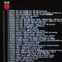 Raspberry Pi / Raspberry Pi Model A / Raspbian / osx / python / mysql / java / TRS-80 model I /