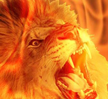 LionFireEnt's profile picture. Central NJ Based DJ/ Entertainment. Specializing in Karaoke, Weddings, Private Parties.