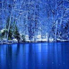 May all that have life be delivered from suffering.-Siddhartha Gautama