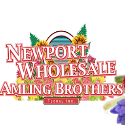 Newport Wholesale Floral Inc. has been involved in the floral trade business since 1920.