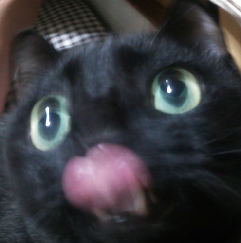 v6_nyan's profile picture. 能工65期卒業(*´ω｀*)