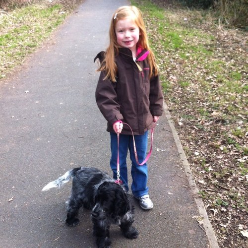 AlisonMaley's profile picture. 