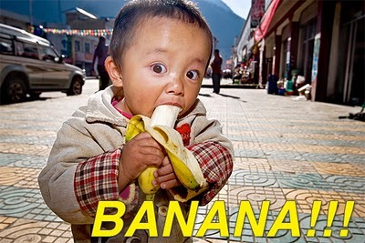 #Follow @Tommy_De_Banaan en hij #followt je BACK !