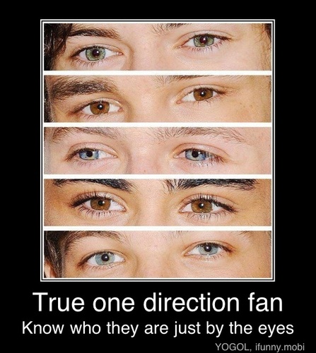 Words will be just words till you bring them to life -1D