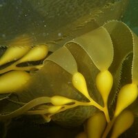 Anne Stewart (@anneinbamfield) 's Twitter Profile Photo