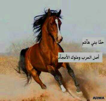 ‏لا ابيح اي احد يلعب بااعراض الناس ومسيار ماعندي واسفه للبنات اللي كلموني لاااستقبل الا للاشراف فقط