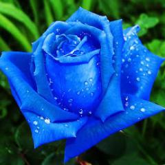 Doy RT a todo tweet que me guste, saludos a quien me siga!