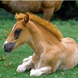 nynola81's profile picture. A positive attitude can change the world, so can a smile. Keep smiling :)