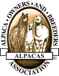 Everything you need to know about alpacas, fiber and fashion.