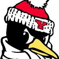 YSU Soccer (@ysusoccer) 's Twitter Profile