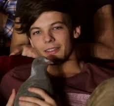 The famous bird of 1D
