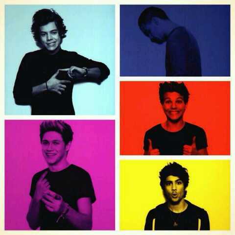 Amante de mis 5 amores perfectos.