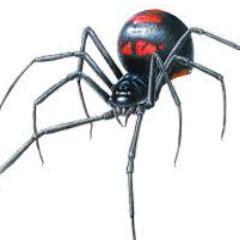 BlackWidowStrap's profile picture. The Best Hammock Straps on the Market. Built Black Widow Tough...