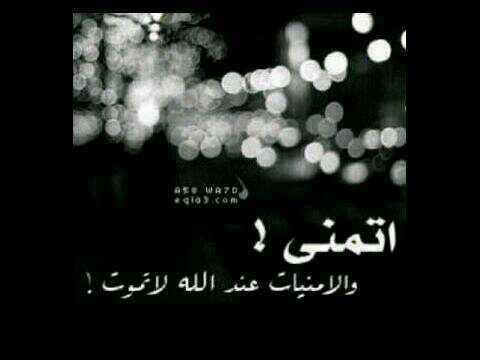 ‏ليس كل ماكتبه حكايه عن واقعي فما هي (كلمات) راقت لي
