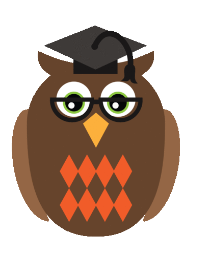Wise Owls Tutoring - Primary tutoring in Maths and English for 5 - 11 year olds #Primary #Teaching #keystage1 #keystage2 #maths #literacy