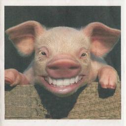 Grandpa, gardening guru, pig aficionado, low level geek and long suffering ITFC fan.