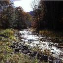 Daniel Talkington - @Calming_Waters - Twitter