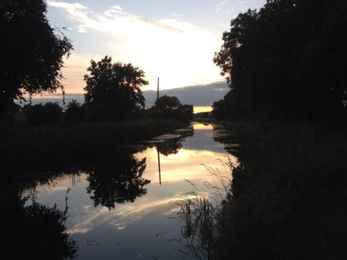 Stephendalyvcs's profile picture. 