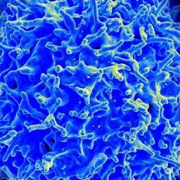 Oncologia_'s profile picture. Médico Oncólogo e internista. Urológico San Román.