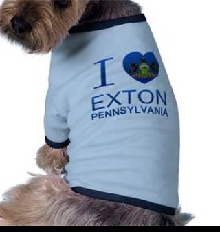 LocalworksPA's profile picture. A place for local business to get together to share job postings, smalls business, trends and ideas. Get your business heard!