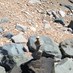 Bodmin Geog Dept (@bodmin_geog) Twitter profile photo