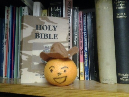 Anglican Priest. Interested in God bothering and hopeless causes. Loves orange!