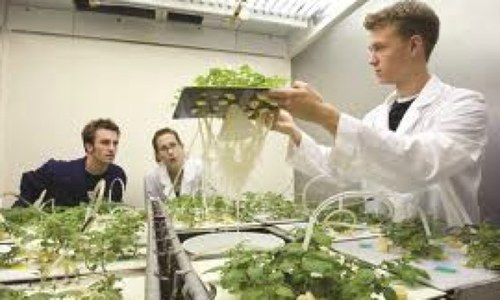 Teaching the art of cultivation and the philosophy of testing.
