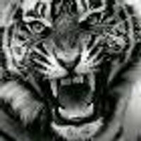 ابن باني (@rf77fr) 's Twitter Profile