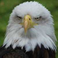 Tim Gilberts (@timbucus) 's Twitter Profile