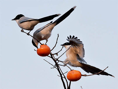 lyunyung's profile picture. 친일매국노와 군사독제 추종세력이 이 나라 주인행세하는 현실에 분노하는 소시민.