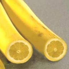 瞬間の　ニヤ　をお届けします