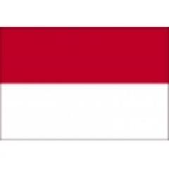 http://t.co/MKiDUurDvO Indonesia