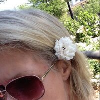Dawn Morrow (@dlmorrow) 's Twitter Profile