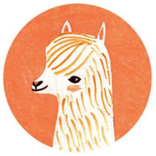 laurenphillippi's profile picture. pew pew pew