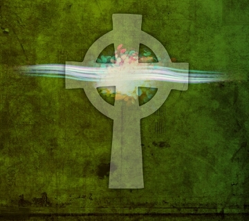 tdanaher36's profile picture. 