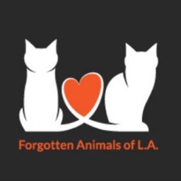 Forgotten Animals of Los Angeles (FALA) is dedicated to the rescue of homeless cats and the elimination of their suffering.