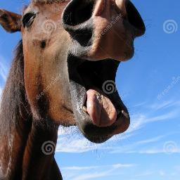 SOU UM POUCO DE TUDO, MEIO RAPOSA,MEIO CAVALO, ADORO COMER UVINHAS DE MANHA, A TARDE TOMU CHÁ DE PICÃO